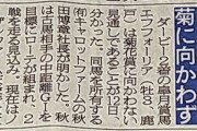 【コントレイル舐められる】エフフォーリア　菊花賞に向かわないことが判明