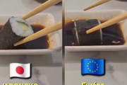 日本「どうしてヨーロッパ人はこうやって寿司を食べるの？」