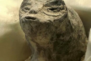 【速報】メキシコのミイラ、地球外生命体だった