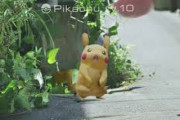 もし世界にポケモンがいたら現実的にお前らが持ってそうな手持ち