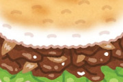 ライスバーガーのライスだけ販売するという発想 ローソンストア100が「具なしライスバンズ」を100円で販売