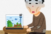 【悲報】アクア民さん、お金なさ過ぎて水槽のヒーターを撤去してしまう・・・