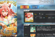 【FGO】イベント礼装「プールサイド・メイド」タマモキャットの３臨がアレなことを思い出させてくれる礼装