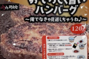 【画像】クソほど滑ってるハンバーグが見つかるｗｗｗｗｗｗｗｗ