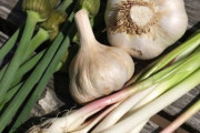 はっきりいう、「ニンニクの芽」が全野菜の中で一番美味い😡