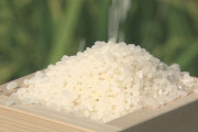 コメの平均価格5キロ4285円 2週連続の値上がり 過去最高値を更新