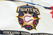 【悲報】日ハム球団社長が謝罪「月2回のPCR検査を実施してきたが、結果としては対策が不十分だった」