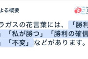 【にじさんじ】しがりこ、将来の夢アスパラガスに決めた
