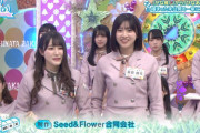 【日向坂46】次週「ひらがな推し」から「ひなあい」まで溜まった未公開を一挙大放出！【日向坂で会いましょう】