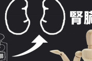 ｢排尿の泡立ちがすごい｣は早死のサイン…｢沈黙の臓器｣、腎臓がこっそり出している”危険な兆候”