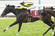 【競馬予想】第72回府中牝馬ステークス(GⅡ) /2024