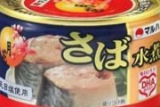 【悲報】鯖の水煮缶、高すぎる
