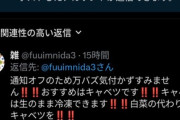 【悲報】ママさん「白菜切って小分けにして冷凍すればいつでも鍋できるよ」男「それ御新香の味になるよ」