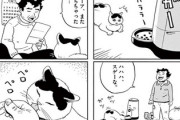 【独身】なんだよこの漫画ｗｗｗ【注意】