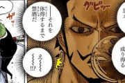 【ワンピース】ミホーク「全ての刀は覇気で黒刀に成り得る」←これ