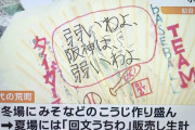仙台の小学生「弱いわよ、阪神は、弱いわよ」