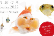 さかなの変顔!?　ユニークな“正面顔”が満載！『うおづらカレンダー』の2022年版が販売開始（画像あり）