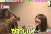 【日向坂46】若林さんの事は何でも知ってる加藤史帆w 佐々木美玲と室内型動物園へ！【どうぶつピース】