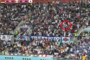 【W杯】韓国人「日本の失点に大喜びして『太極旗』を振った韓国人に日本人が激怒し炎上！」太極旗に怒った日本人「戦犯旗はだめで、太極旗は良いのか？」　韓国の反応