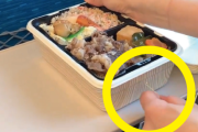 韓国人「日本の列車弁当」