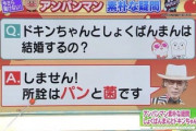 3歳児「ドキンちゃんって食パンのことが好きなのにどうして食パンのダチに攻撃するの？」←どうする？