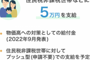 5万円給付、みんな何に使うの？