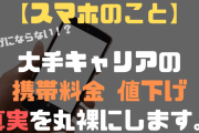 携帯料金値下げ au・SoftBank MVNOはなし