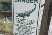 【画像】フロリダ州の看板「ワニに餌を与えたり、性的ないたずらをしないで」 ← ！！？