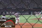 荻野や角中みたいにバット短く持っても飛ぶし、なかなか結果が出ない若手は金森打法試すべき…？