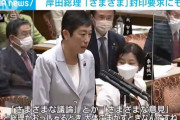 立憲・辻元氏「総理の『さまざま』は大体ごまかす時」 岸田総理「えーっと さまざまな…」