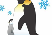 皇帝ペンギンのヒナに癒される「ペンギンはとても忠実で愛情深い生き物」「温かい気持ちになります」海外の反応