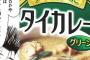 タイのような後進国でもカレー料理があるのかへー