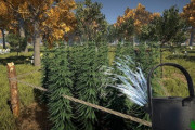 大麻農家体験ゲー『Weed Farmer Simulator』登場！一人称視点で大麻育成体験できるぞｗｗｗｗｗｗ