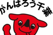 あるX民の投稿したお菓子の画像が話題に！「千葉の人、これでいいんですか？」