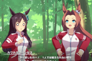 【ウマ娘】育成はUE3と4の間に壁を感じるんだが