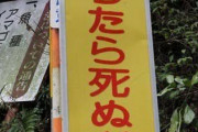 「落ちたら死ぬ」の看板があるとこ、ガチでヤバイｗｗｗｗｗｗ