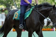 【競馬】　ソウルスターリング北村宏騎手で中山記念へ　引退レースか