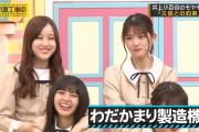 【悲報】わだかまり3の戦犯がほぼ決まるｗｗｗ【乃木坂46】
