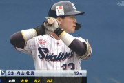 【朗報】ヤクルト内山さん、ガチで凄いWIWIWIWIWIWIWIWI