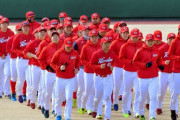 1.5軍レベルのプロ野球選手にありがちなことｗｗｗｗ
