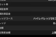 半年前に20万でFX始めた俺の現在のFX口座残高ｗｗｗｗｗｗｗｗｗｗｗｗｗｗｗｗ