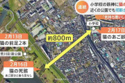 猫の“死骸”が小学校の鉄棒に　近くの公園でも切断された足が　さいたま市