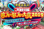 「プロ野球珍プレー好プレー大賞2019」カープ長野ズッコケ＆一岡とG中島の乱闘etc　恒例の達川の死球名人芸も（実況まとめ）