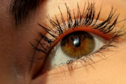 【画像】長すぎてよく女の子に間違えられるワイのまつ毛ｗｗｗｗ