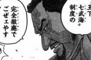 【ONEPIECE -ワンピース】藤虎「七武海撤廃しやす、戦力低下は知らないでごわす」←やばすぎやろ
