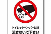 トイレ「紙以外流さないでください」彡(ﾟ)(ﾟ)「ファッ！？」