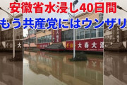 三峡ダム「異常気象の原因説！」中国「大洪水で大水害！」中国政府「経済的損失1800億元！（現時点」日本「今年の損失で三峡ダムの総工費を超える！（2030億元」→