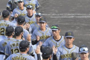 阪神タイガースさん、若手の野手がほんまにヤバい件