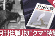【月刊住職】初めてのクマ特集で警戒！お寺や神社でのクマ被害が多発している模様