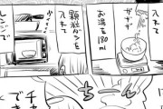【減量】なんだよこの漫画ｗｗｗ【注意】